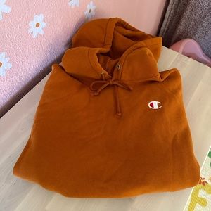 Champion cropped sweater